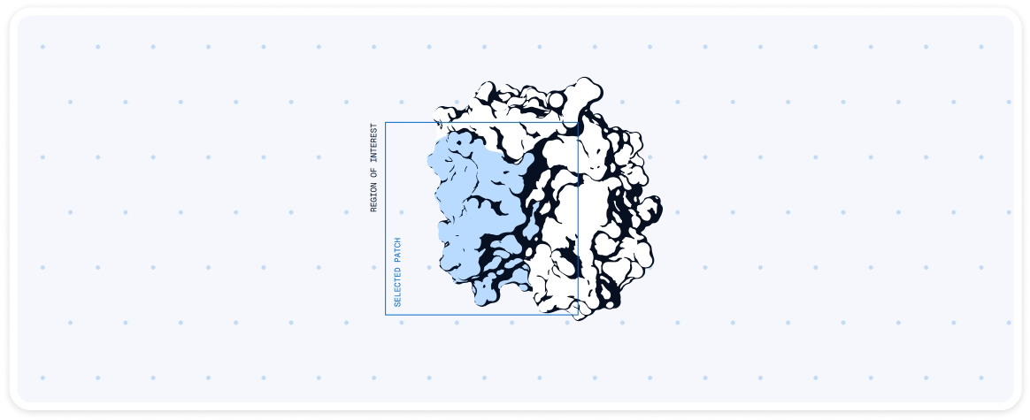 AI-powered surface patch selection for molecular binding