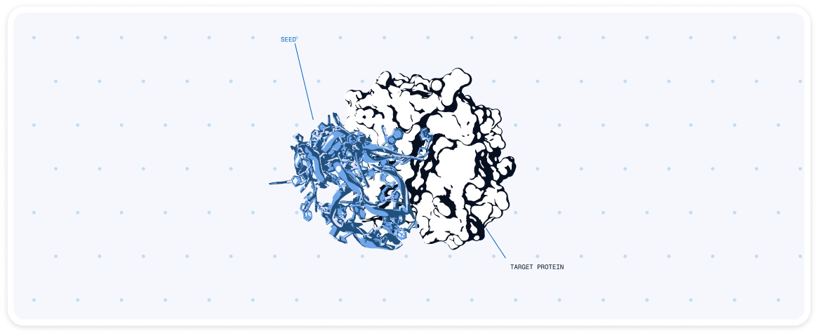 Automated seed fragment placement for aptamer design