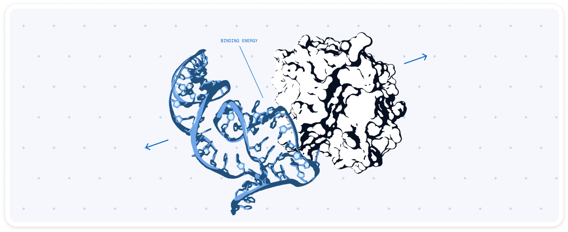 AI-driven binding energy calculation and optimization